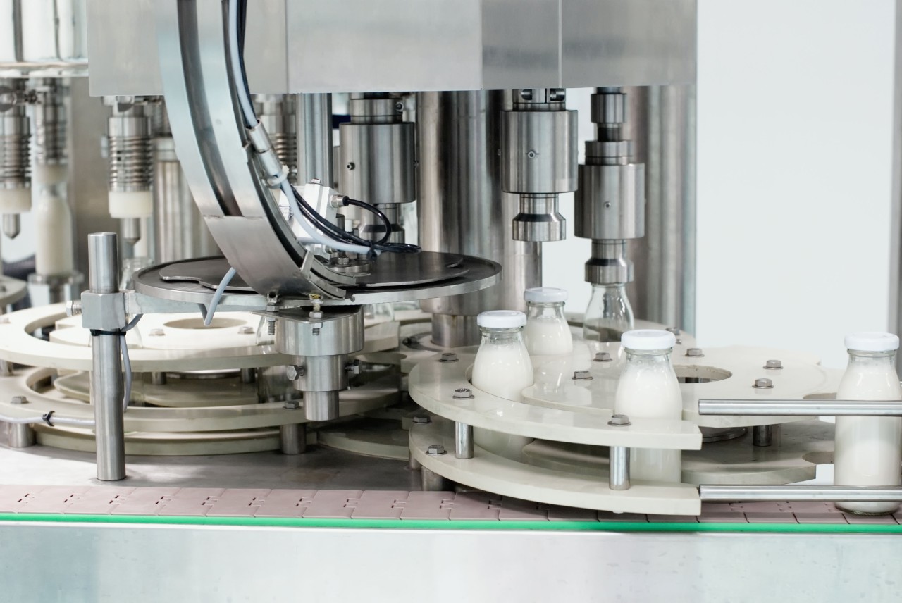 Milk being bottled