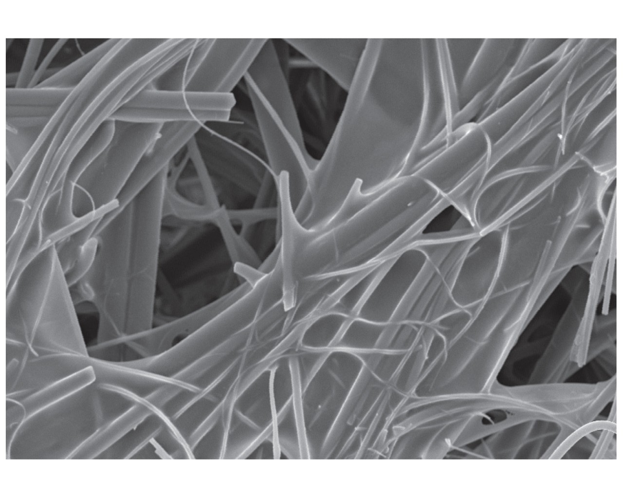 Figure 3 - SEM image of polyester/glass filter media at 500 times shows resin “webbing” between fibers. 