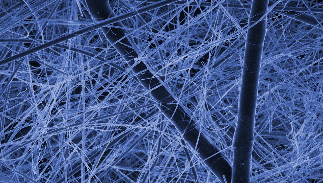 Advancements in fuel filter media technologies are meeting the demands of today’s engines, which operate in a wide range of environments. The Synteq XP™ media used in Donaldson Blue® fuel filters combines fine-fiber technology with a resin-free bonding system for optimum contaminant removal and retention.